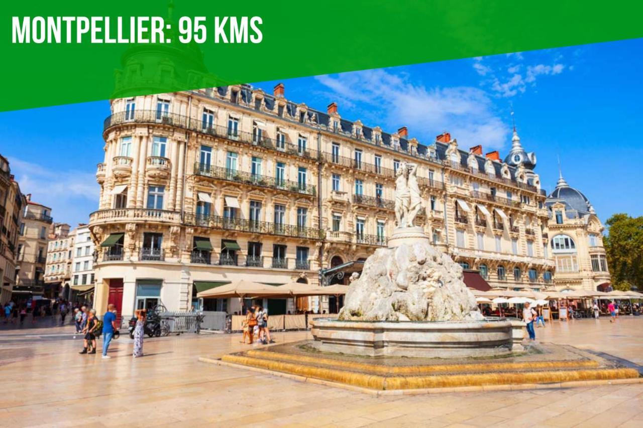 Au Coeur Des Platanes - Parking Gratuit Sous-Terrain - Clim - Balcon Apartment Avignon Ngoại thất bức ảnh
